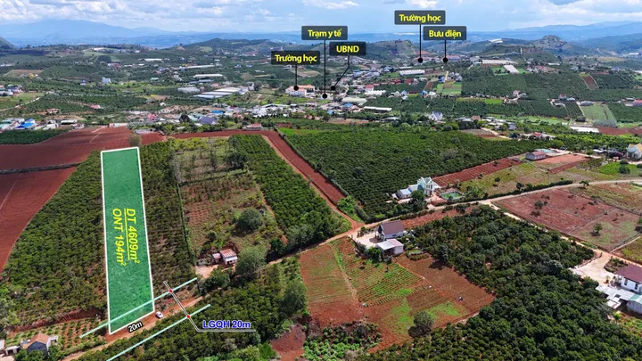 Bất động sản tại Lâm Đồng - ảnh 1