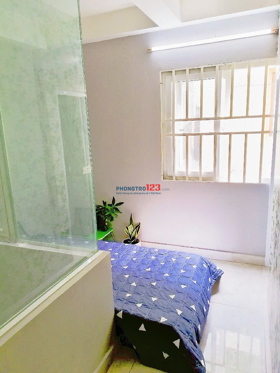 Bất động sản tại TP. Hồ Chí Minh - ảnh 1