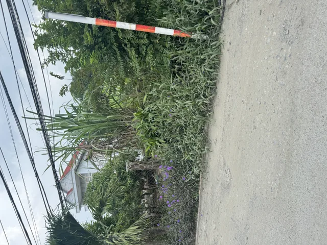 Bất động sản tại Tây Ninh - ảnh 1