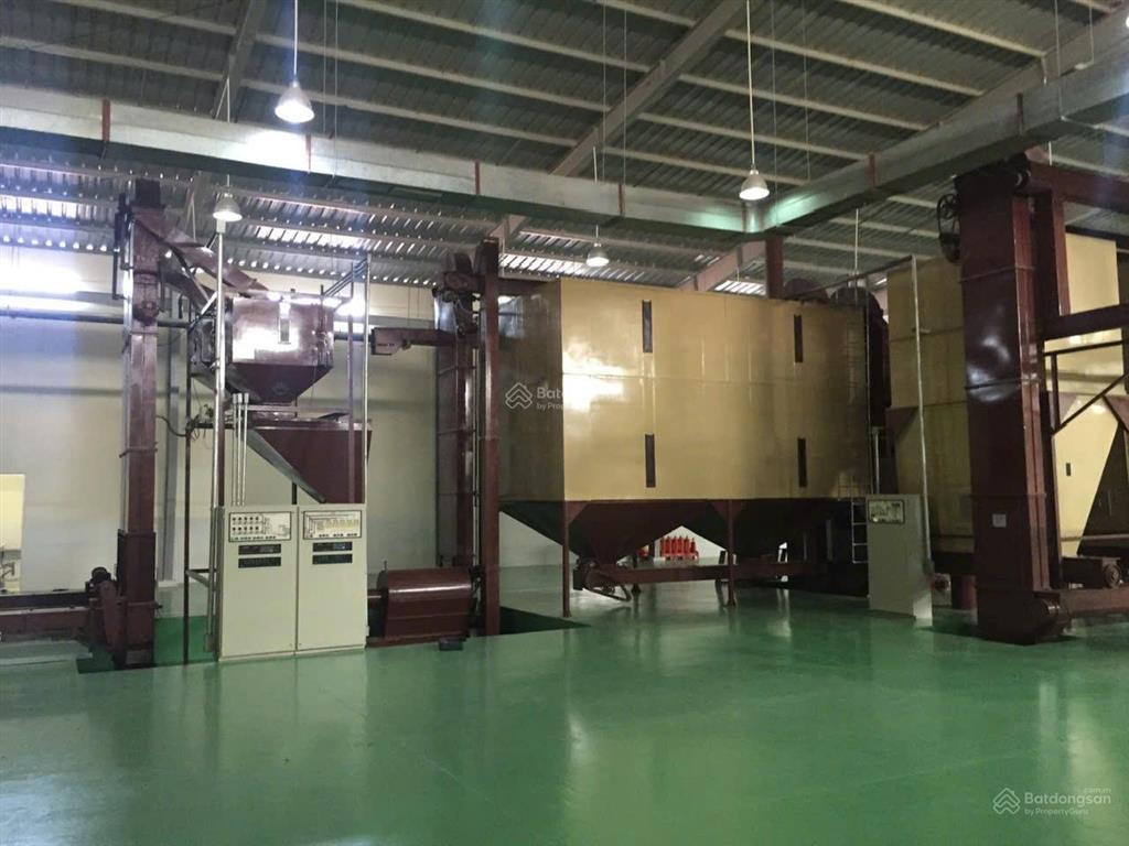 Bất động sản tại Lâm Đồng - ảnh 1