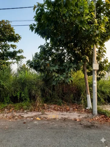 Bất động sản tại Vĩnh Long - ảnh 1