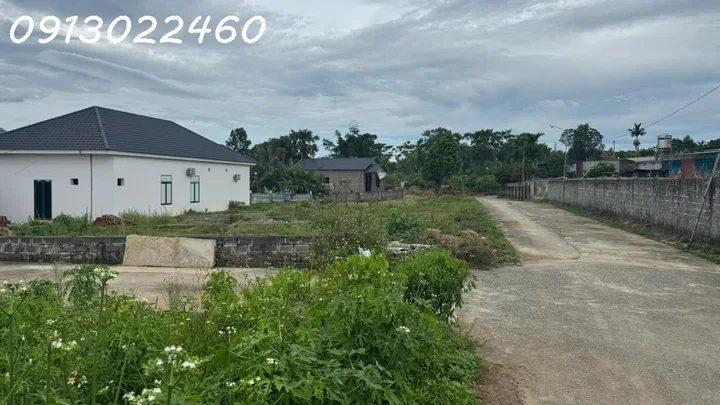 Bất động sản tại Phú Thọ - ảnh 1