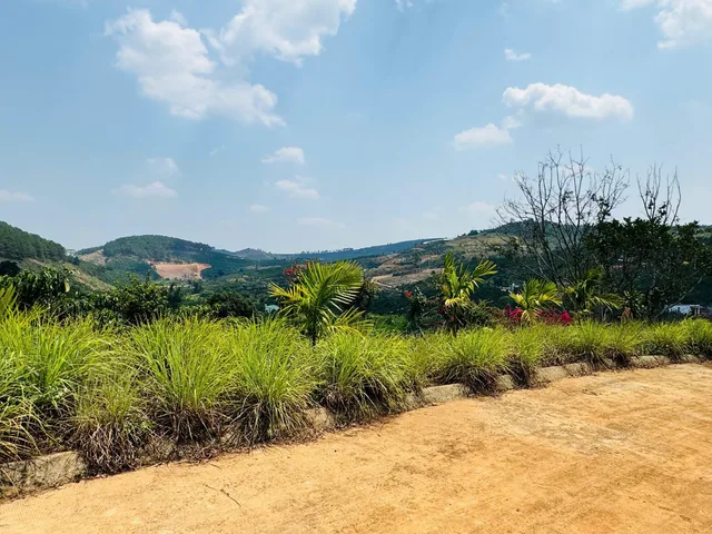 Bất động sản tại Lâm Đồng - ảnh 1