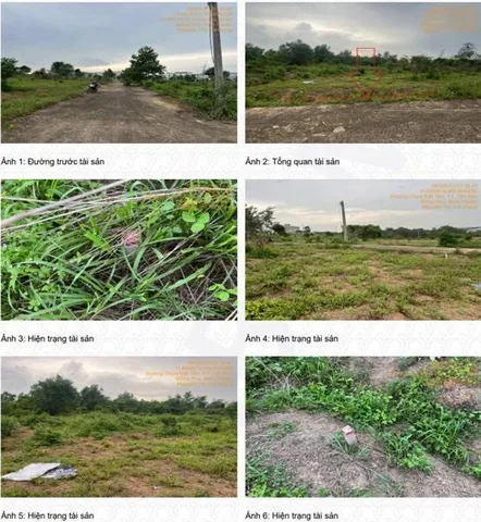 Bất động sản tại Bình Phước - ảnh 1