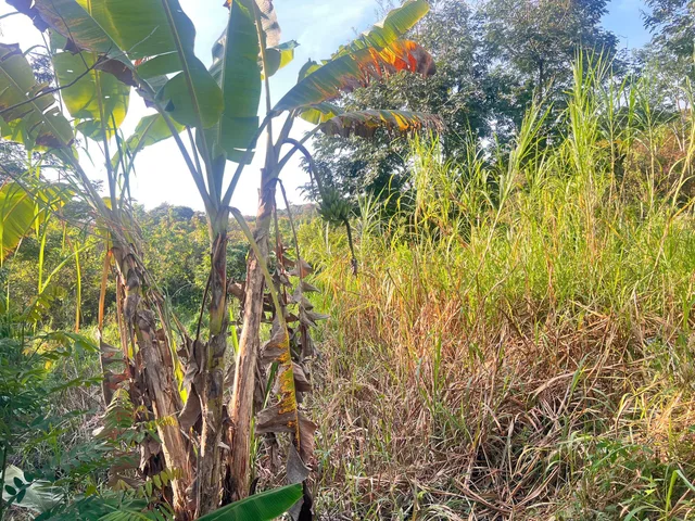 Bất động sản tại Đắk Lắk - ảnh 1