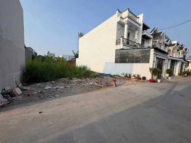 Bất động sản tại Long An - ảnh 1