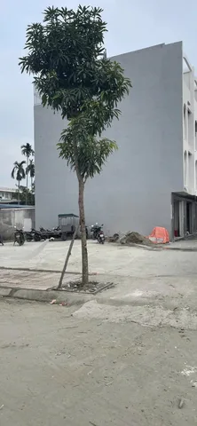 Bất động sản tại Hải Phòng - ảnh 1