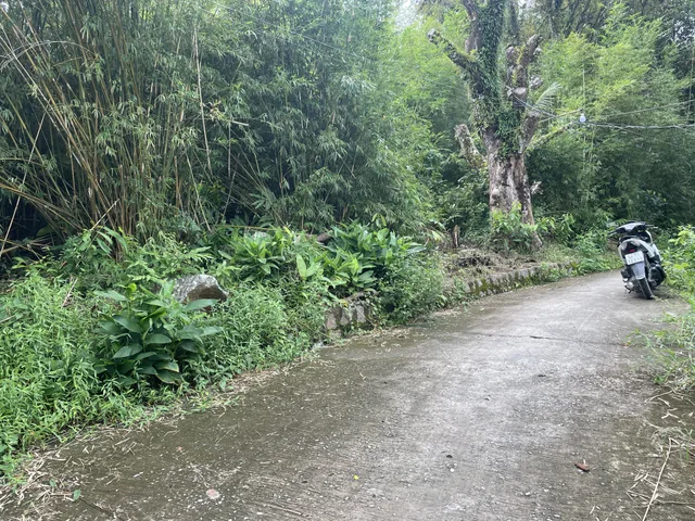 Bất động sản tại An Giang - ảnh 1