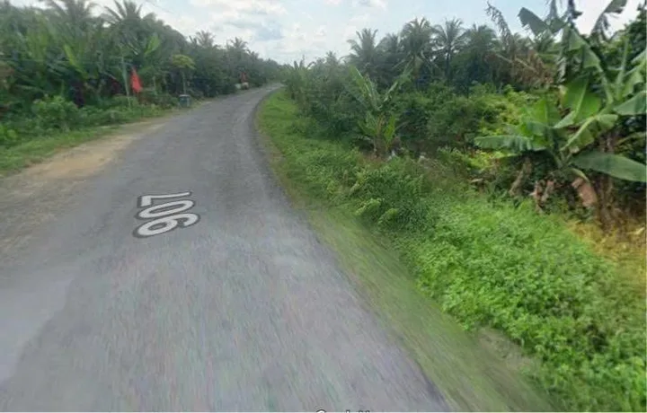 Bất động sản tại Vĩnh Long - ảnh 1