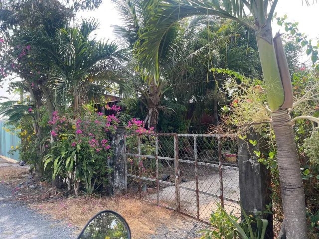 Bất động sản tại Tây Ninh - ảnh 1