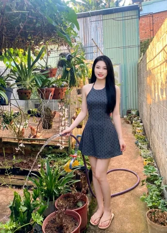 Bất động sản tại Gia Lai - ảnh 1