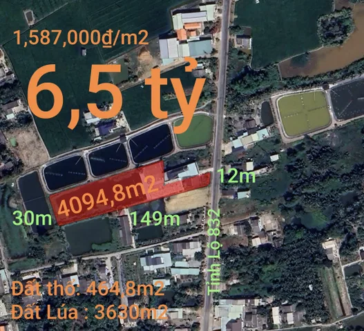 Bất động sản tại Long An - ảnh 1