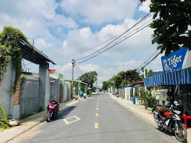 Bất động sản tại Bình Dương - ảnh 1