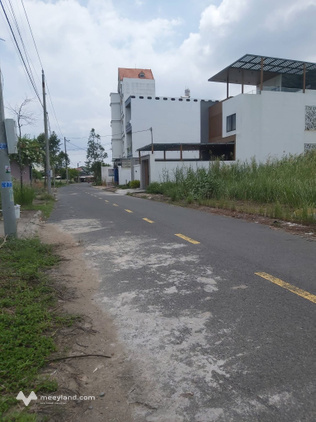 Bất động sản tại Long An - ảnh 1