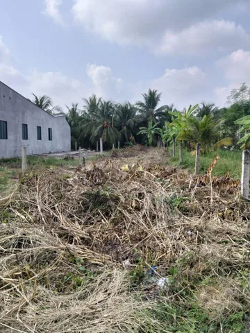 Bất động sản tại Tiền Giang - ảnh 1