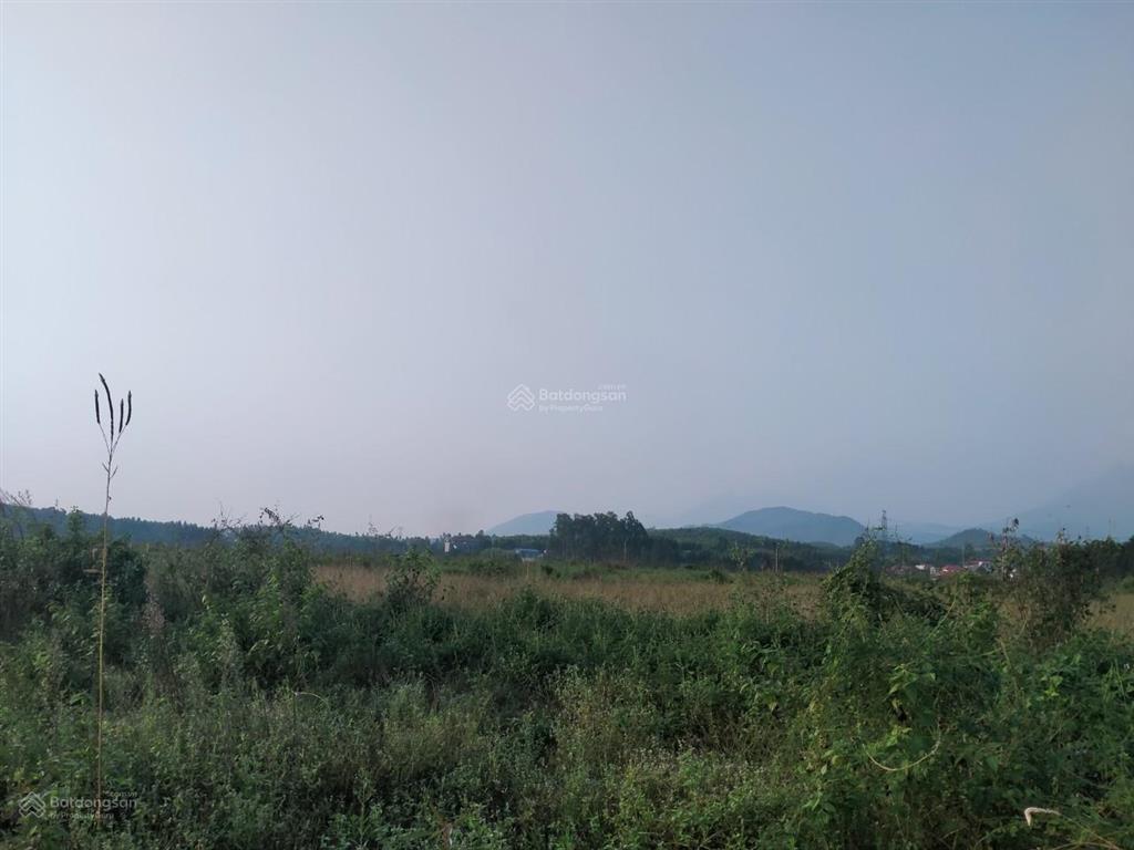 Bất động sản tại Phú Thọ - ảnh 1