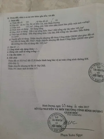 Bất động sản tại Bình Dương - ảnh 1