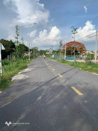 Bất động sản tại Long An - ảnh 1