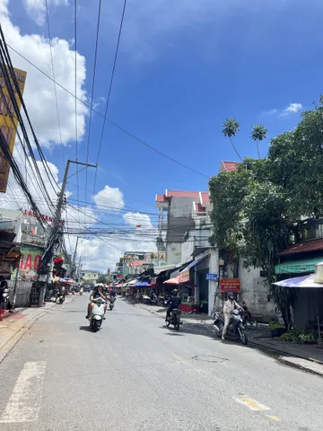 Bất động sản tại Bình Dương - ảnh 1