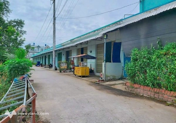 Bất động sản tại Long An - ảnh 1
