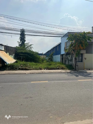 Bất động sản tại Long An - ảnh 1