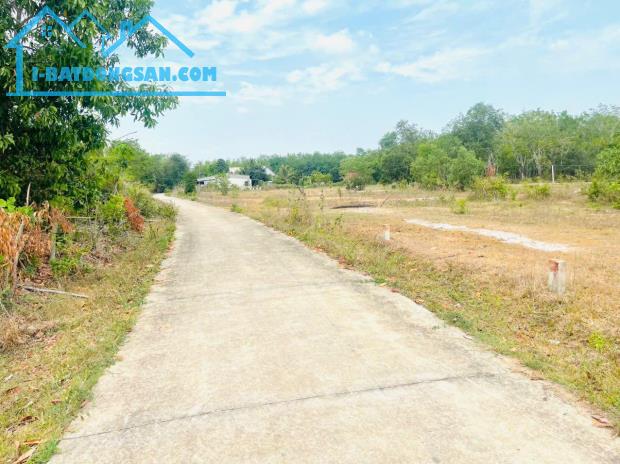 Bất động sản tại Bình Phước - ảnh 1