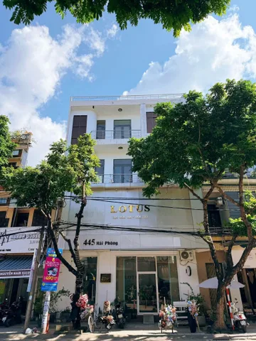 Bất động sản tại Đà Nẵng - ảnh 1