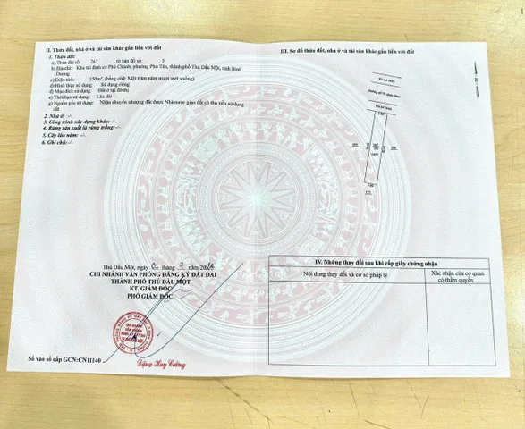 Bất động sản tại Bình Dương - ảnh 1