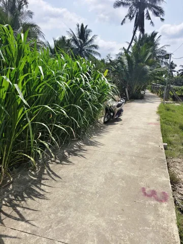 Bất động sản tại Tiền Giang - ảnh 1