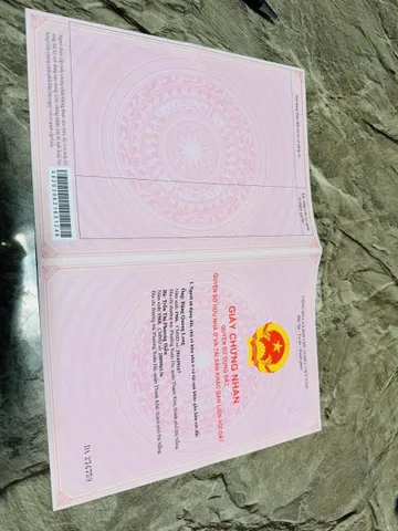 Bất động sản tại Đà Nẵng - ảnh 1