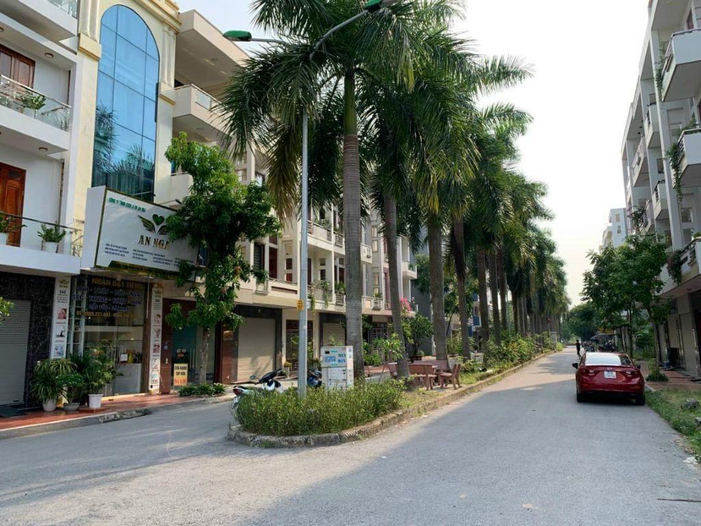 Bất động sản tại Hải Dương - ảnh 1