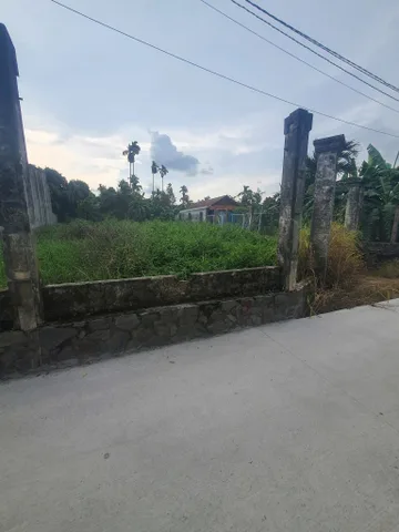 Bất động sản tại Bình Dương - ảnh 1