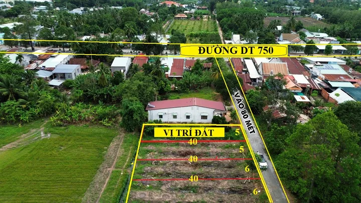 Bất động sản tại Bình Dương - ảnh 1