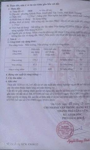 Bất động sản tại Bình Dương - ảnh 1