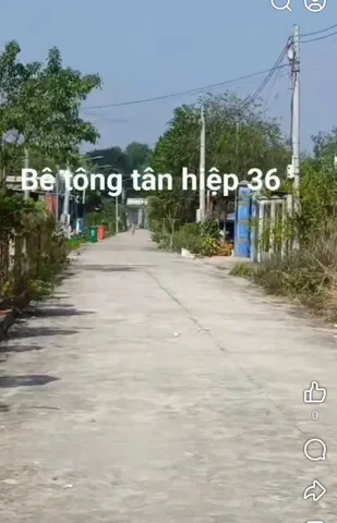 Bất động sản tại Bình Dương - ảnh 1