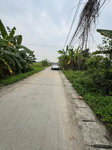 Bất động sản tại Hải Phòng - ảnh 1