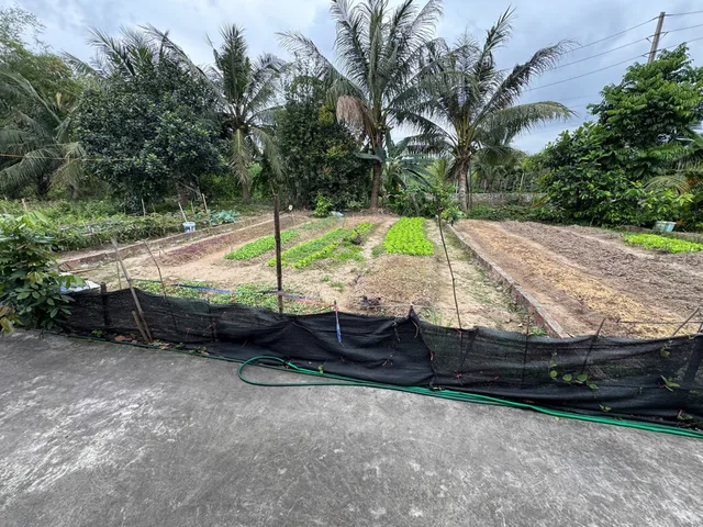 Bất động sản tại Hải Phòng - ảnh 1
