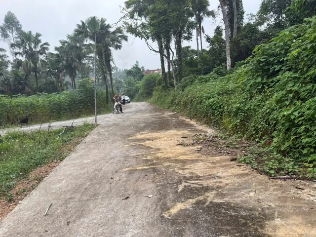 Bất động sản tại Phú Thọ - ảnh 1