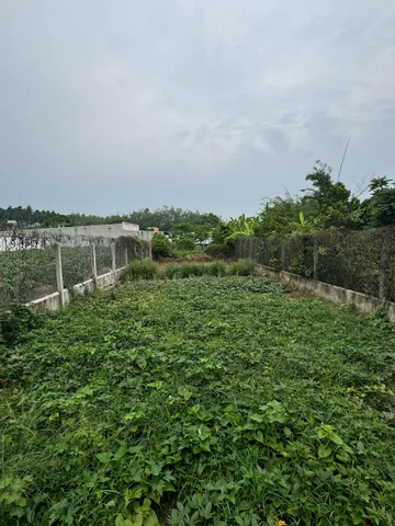Bất động sản tại Tây Ninh - ảnh 1