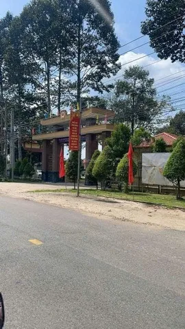 Bất động sản tại Bình Dương - ảnh 1