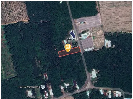 Bất động sản tại Bình Dương - ảnh 1