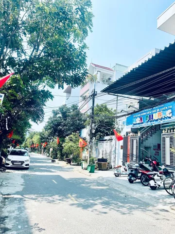 Bất động sản tại Đà Nẵng - ảnh 1