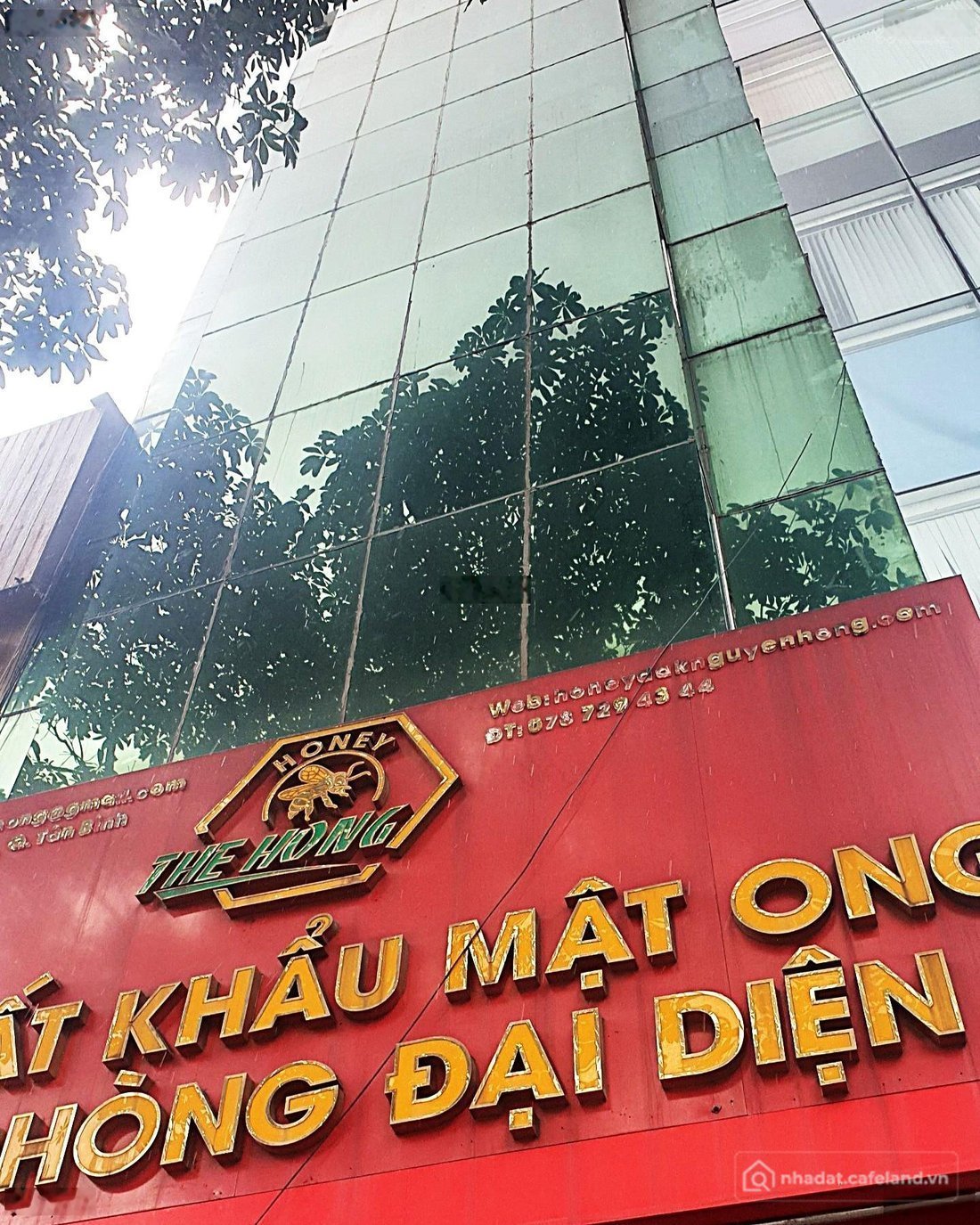Bất động sản tại TP. Hồ Chí Minh - ảnh 1