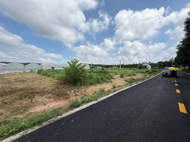 Bất động sản tại TP. Hồ Chí Minh - ảnh 1