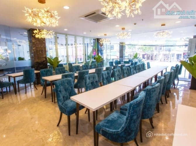 Bất động sản tại Đà Nẵng - ảnh 1