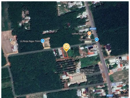 Bất động sản tại Bình Dương - ảnh 1