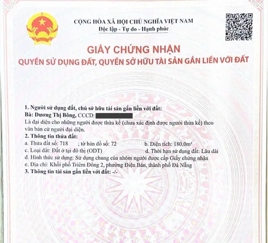 Bất động sản tại Đà Nẵng - ảnh 1