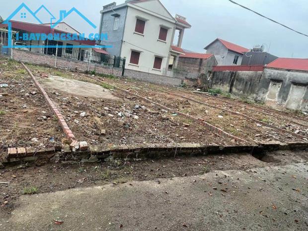 Bất động sản tại Hải Dương - ảnh 1