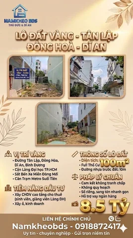 Bất động sản tại Bình Dương - ảnh 1