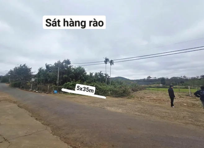 Bất động sản tại Đắk Lắk - ảnh 1